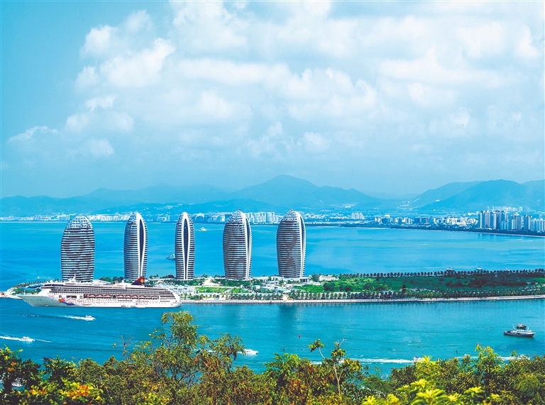 椰林秘境，海南椰林深处探幽