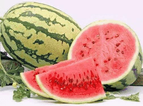 宁夏，深度解读与评论