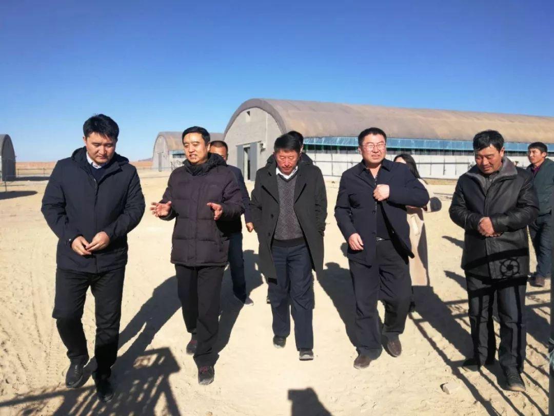 赤峰之光,草原梦想,未来励志之旅