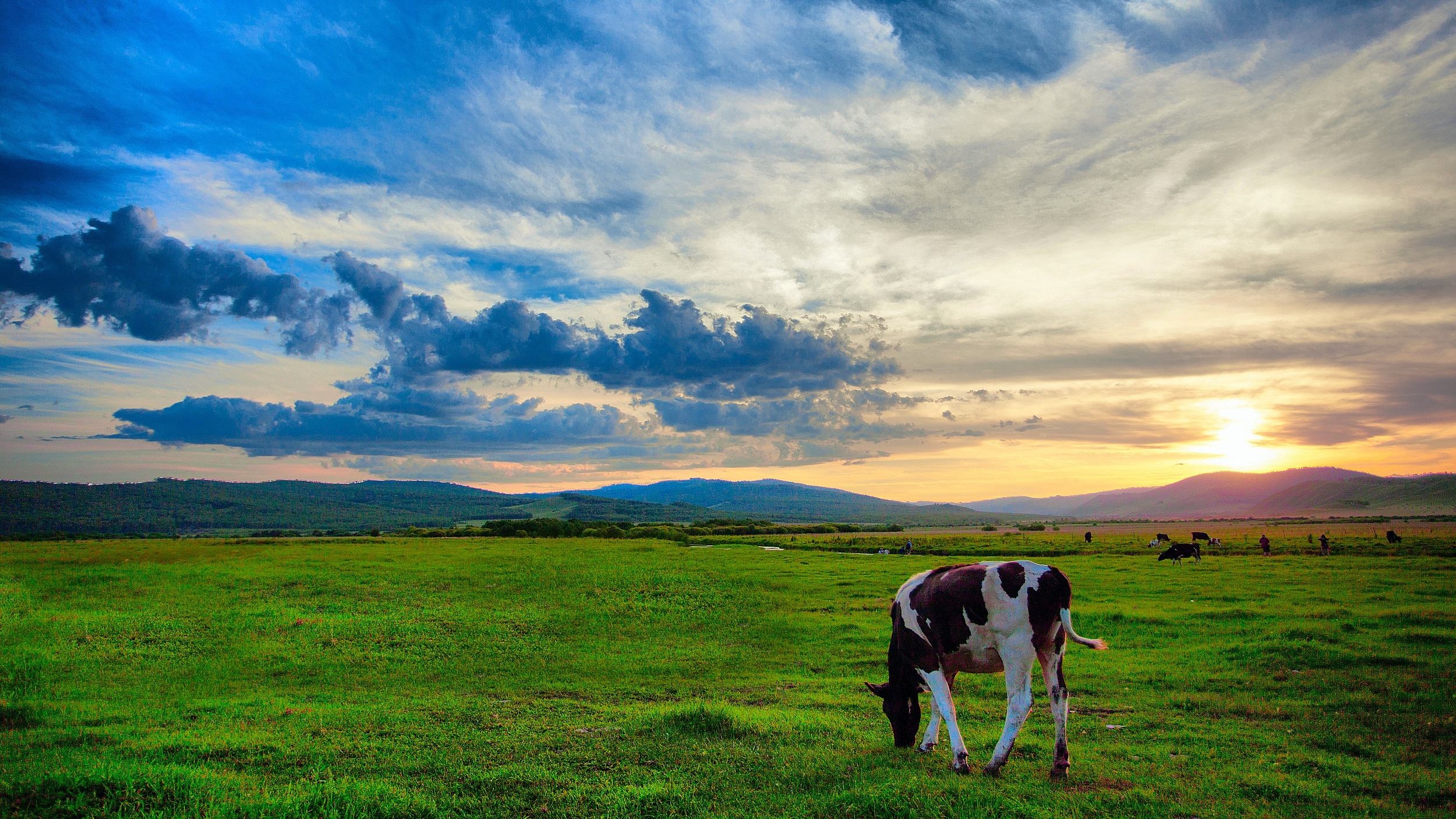 呼伦贝尔，草原之美与风情之旅