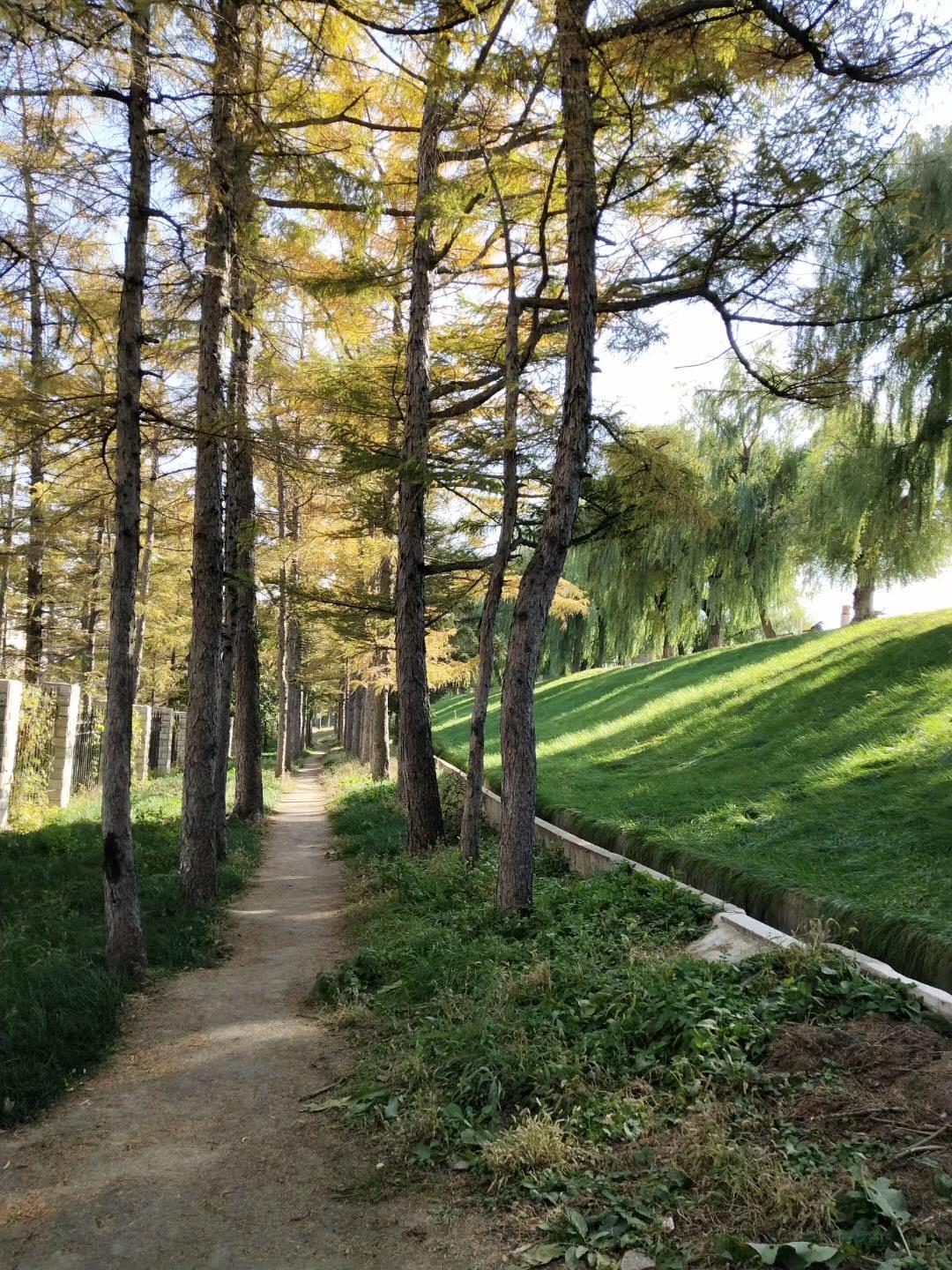 长春，历史底蕴与现代魅力的交汇之城