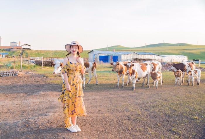 呼伦贝尔，自然浪漫之旅的呼唤